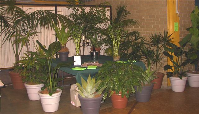 Plant Display